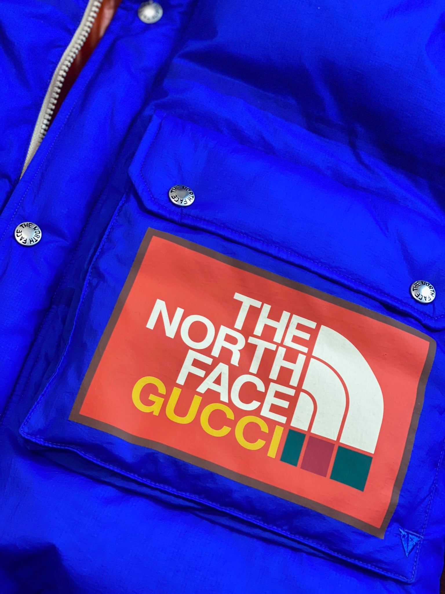 GUCCI × THE NORTH FACE