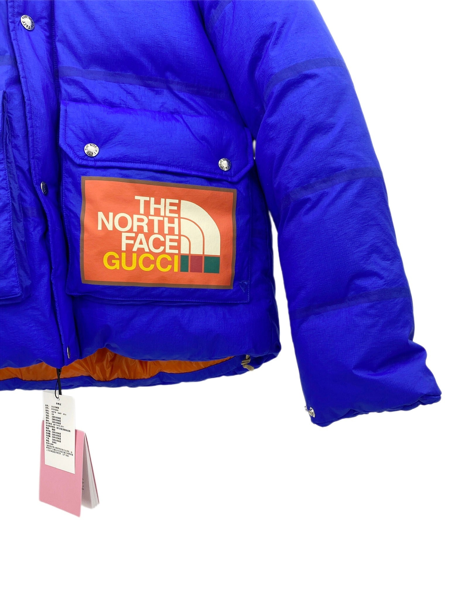 GUCCI × THE NORTH FACE